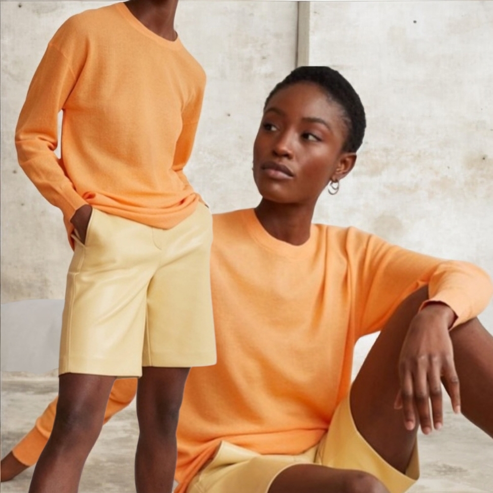 Aritzia-Babaton Women's Apricot Ice BECK Crewneck Sweater